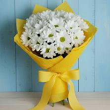 Букет цветов из:  Хризантемы в Евпатории
