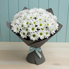 Букет цветов из:  Хризантемы в Евпатории