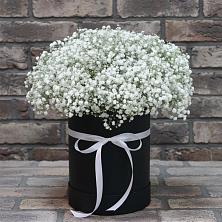 Цветочная композиция из Гипсофила в шляпной коробке в Евпатории